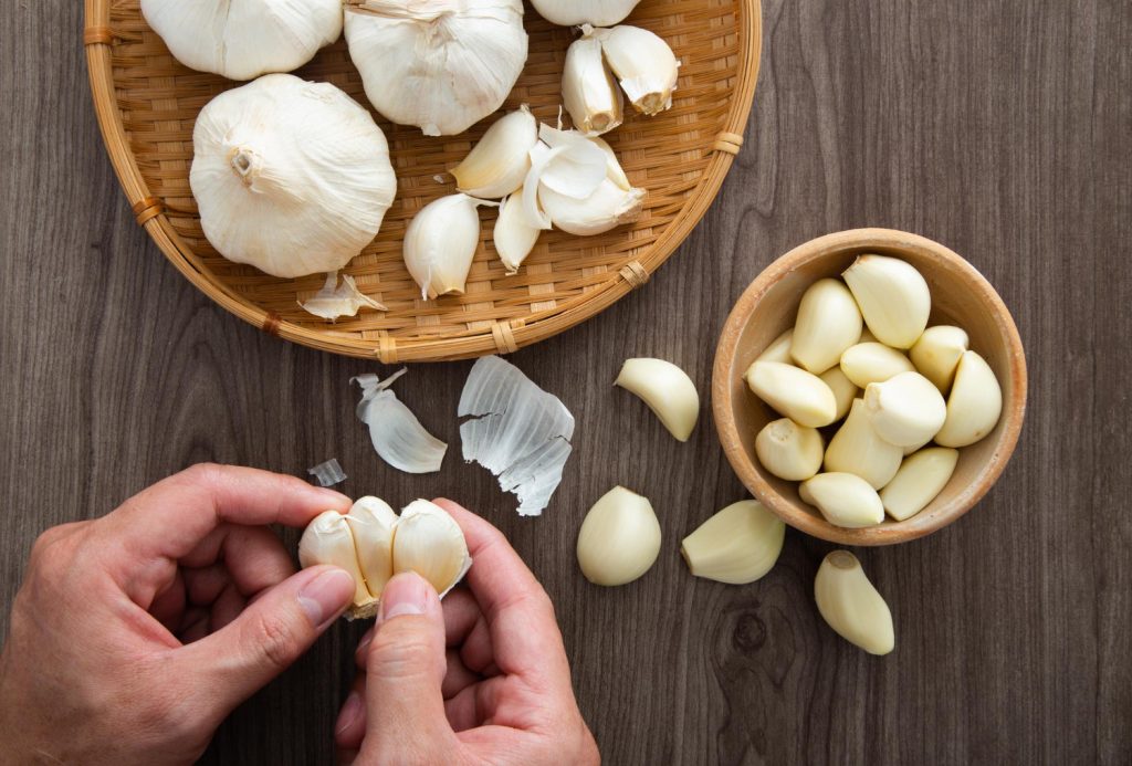 Science and Benefits of Garlic