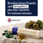 Regina Royal Immune Complex with Brazilian Green Propolis: 30 capsules